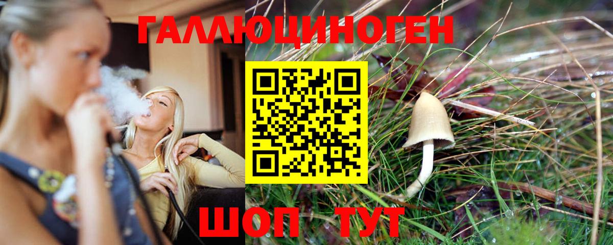 как найти   Псилоцибиновые грибы Psilocybine cubensis  Чита  Вход с VPN  Псилоцибиновые грибы Psilocybine cubensis 